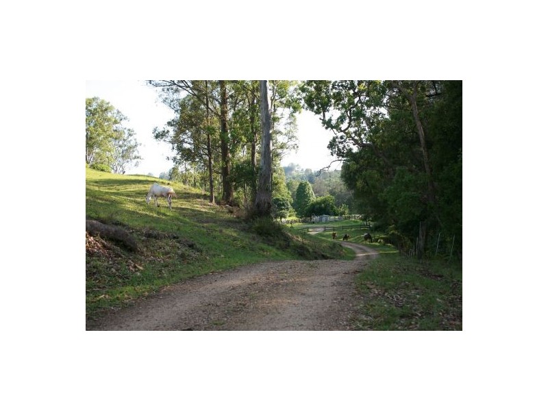 Lot 132 Williams Road, Kyogle NSW 2474