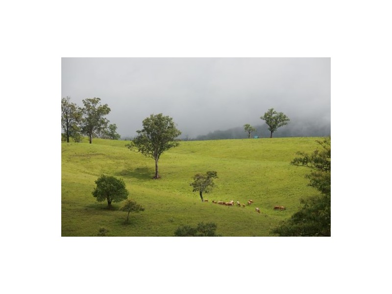 Lot 132 Williams Road, Kyogle NSW 2474