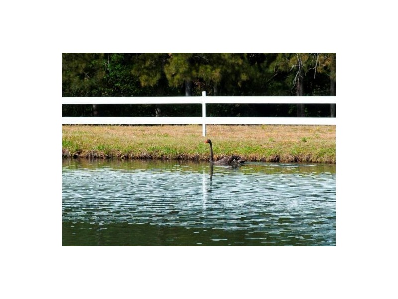 Lot 132 Williams Road, Kyogle NSW 2474