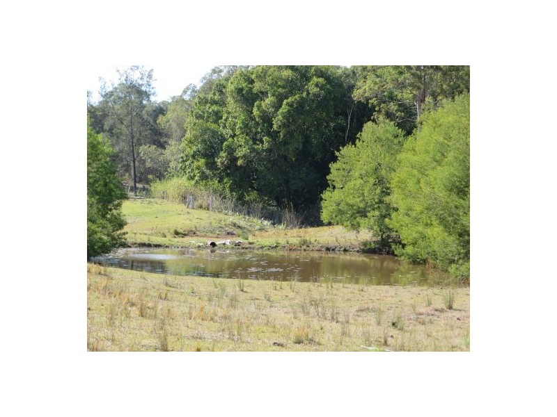 Lot 19 Busbys Flat Rd, Busbys Flat NSW 2469