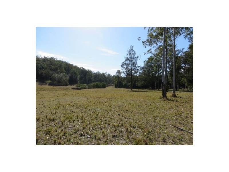 Lot 19 Busbys Flat Rd, Busbys Flat NSW 2469