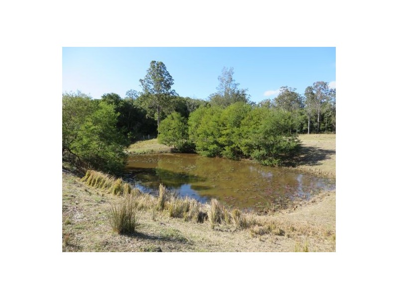 Lot 19 Busbys Flat Rd, Busbys Flat NSW 2469