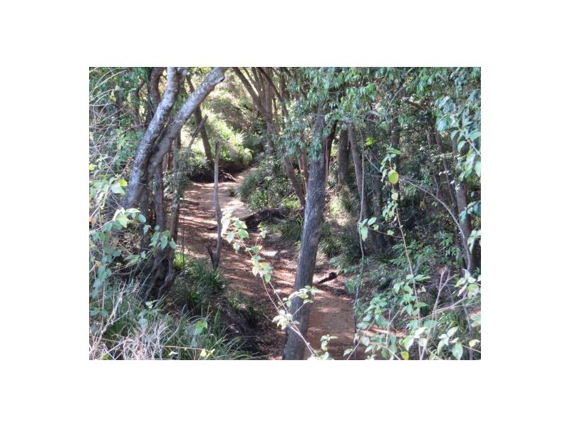 Lot 19 Busbys Flat Rd, Busbys Flat NSW 2469