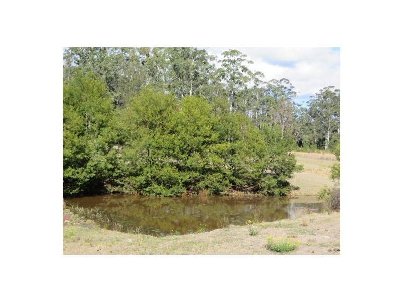 Lot 19 Busbys Flat Rd, Busbys Flat NSW 2469
