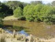 Lot 19 Busbys Flat Rd, Busbys Flat NSW 2469
