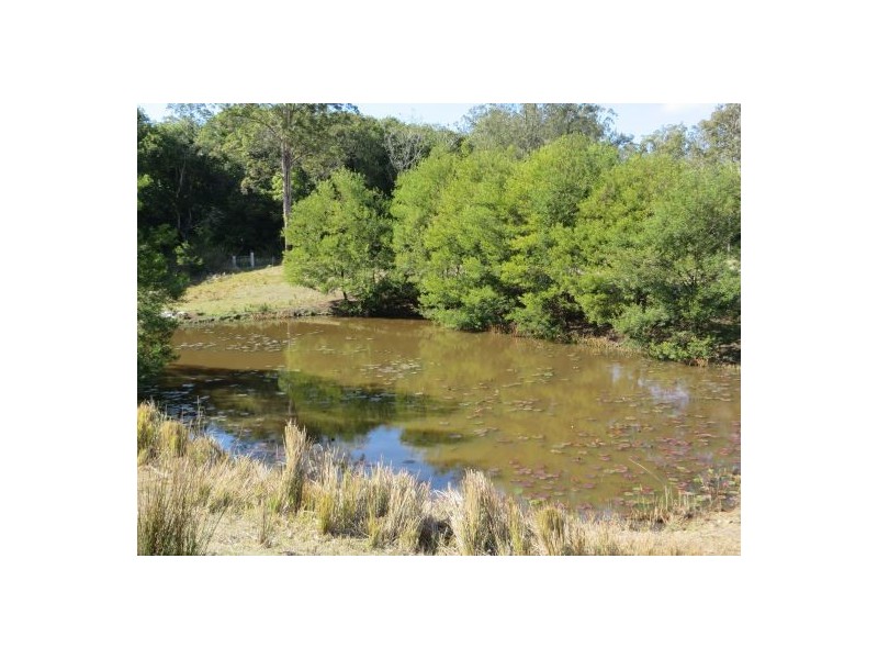 Lot 19 Busbys Flat Rd, Busbys Flat NSW 2469