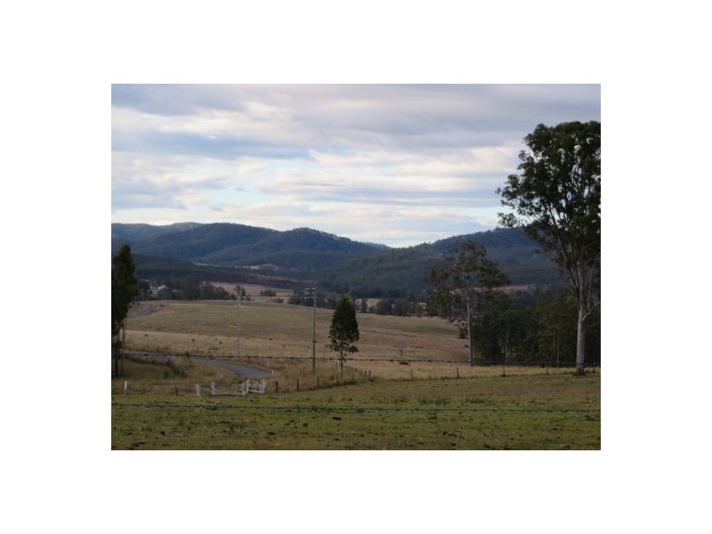 686 Paddys Flat Rd, Tabulam NSW 2469
