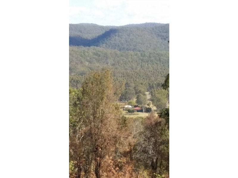 686 Paddys Flat Rd, Tabulam NSW 2469