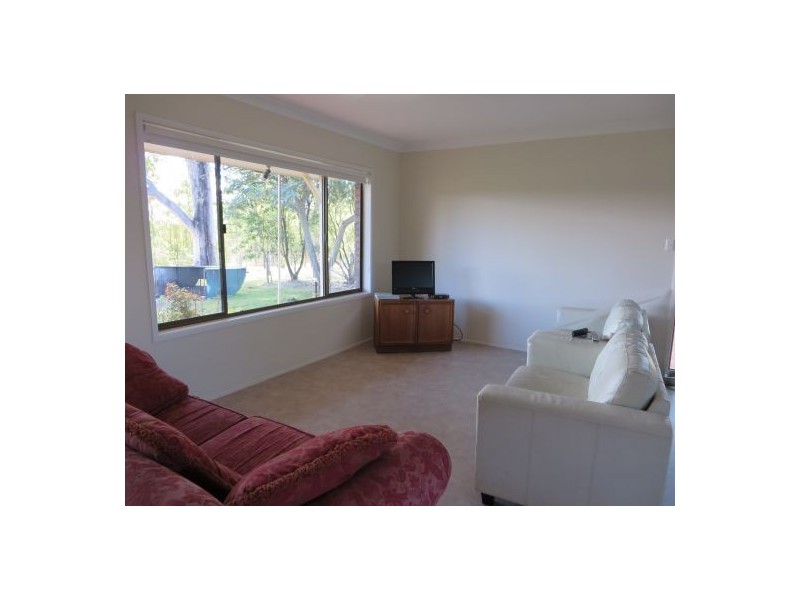 686 Paddys Flat Rd, Tabulam NSW 2469