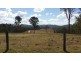 686 Paddys Flat Rd, Tabulam NSW 2469