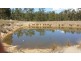 686 Paddys Flat Rd, Tabulam NSW 2469
