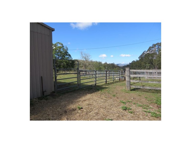 686 Paddys Flat Rd, Tabulam NSW 2469
