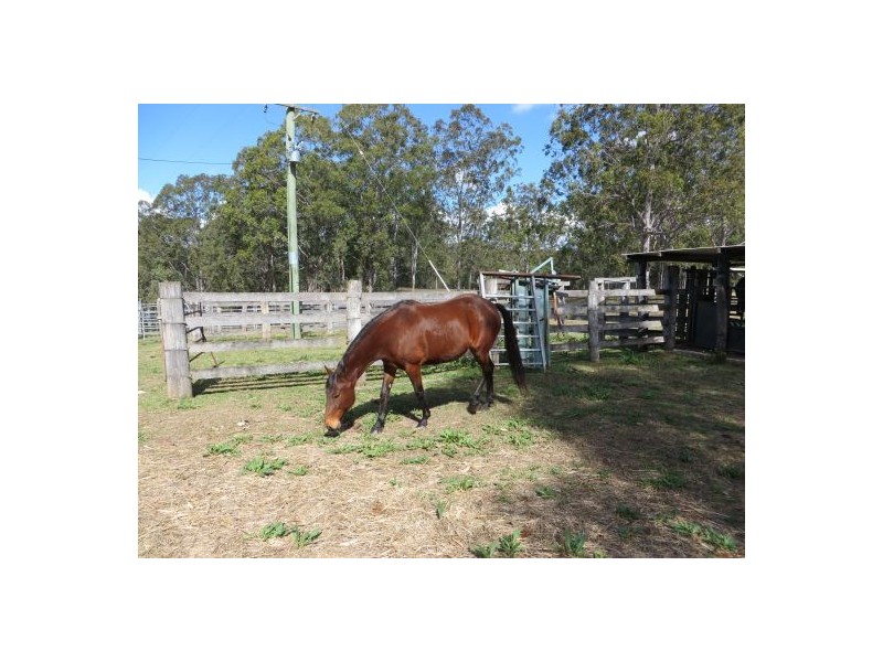 686 Paddys Flat Rd, Tabulam NSW 2469