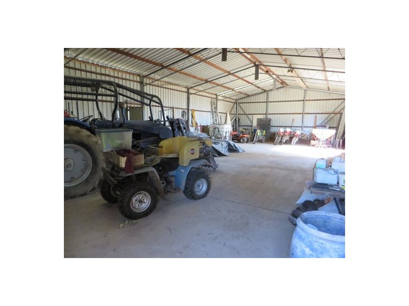 686 Paddys Flat Rd, Tabulam NSW 2469