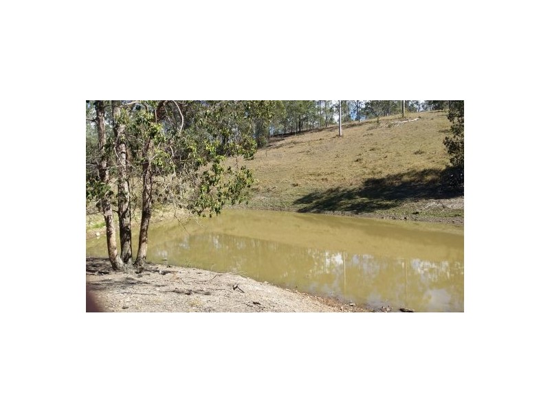 686 Paddys Flat Rd, Tabulam NSW 2469