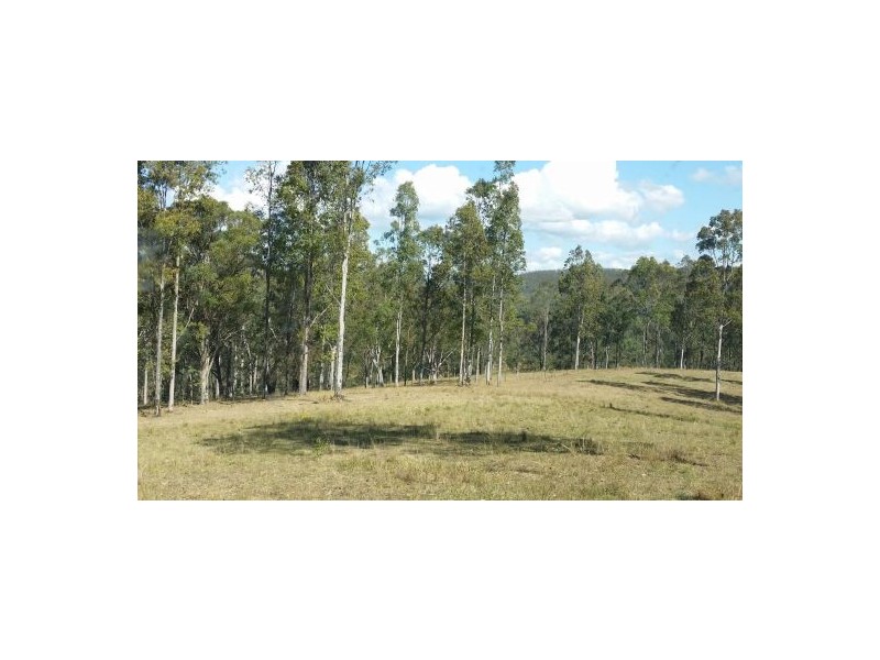 686 Paddys Flat Rd, Tabulam NSW 2469
