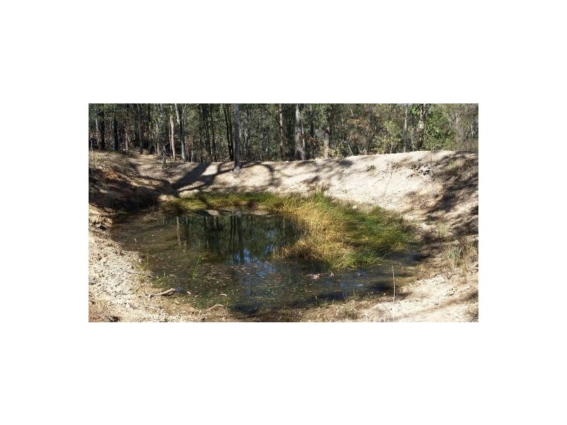 686 Paddys Flat Rd, Tabulam NSW 2469