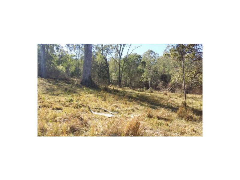 686 Paddys Flat Rd, Tabulam NSW 2469