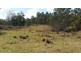 686 Paddys Flat Rd, Tabulam NSW 2469
