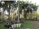 11 Lillian Rock Rd, Blue Knob NSW 2480