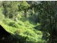 11 Lillian Rock Rd, Blue Knob NSW 2480