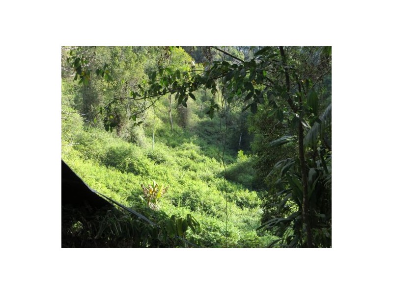 11 Lillian Rock Rd, Blue Knob NSW 2480