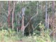 11 Lillian Rock Rd, Blue Knob NSW 2480