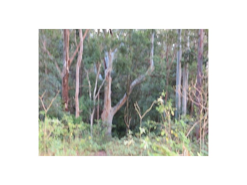 11 Lillian Rock Rd, Blue Knob NSW 2480