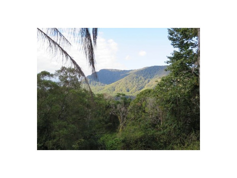 11 Lillian Rock Rd, Blue Knob NSW 2480