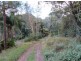 11 Lillian Rock Rd, Blue Knob NSW 2480