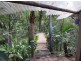 11 Lillian Rock Rd, Blue Knob NSW 2480