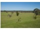 870 Ellangowan Road, Casino NSW 2470