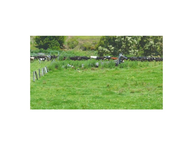 219 Gradys Creek Road, Kyogle NSW 2474