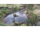 219 Gradys Creek Road, Kyogle NSW 2474