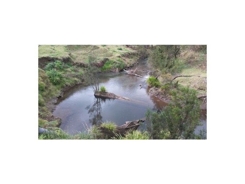219 Gradys Creek Road, Kyogle NSW 2474
