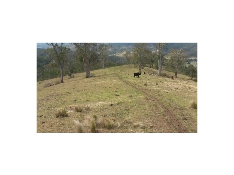 219 Gradys Creek Road, Kyogle NSW 2474