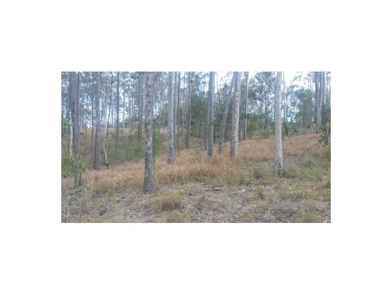 Lot 17 Jenny Lind Lane, Tabulam NSW 2469