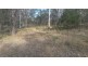 Lot 17 Jenny Lind Lane, Tabulam NSW 2469