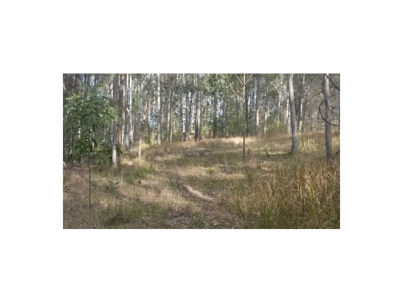 Lot 17 Jenny Lind Lane, Tabulam NSW 2469