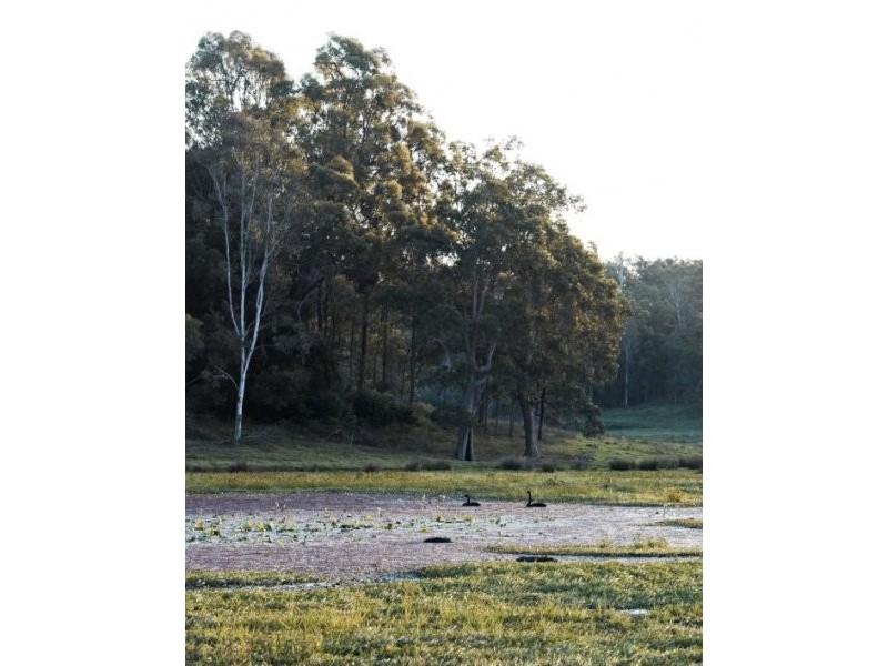 1139 Old Dyraaba Rd, Casino NSW 2470