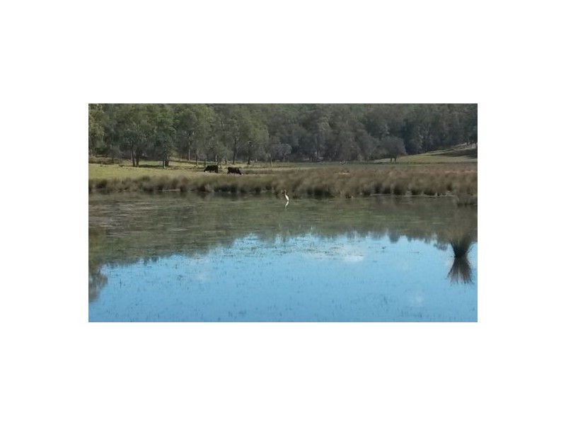 1139 Old Dyraaba Rd, Casino NSW 2470