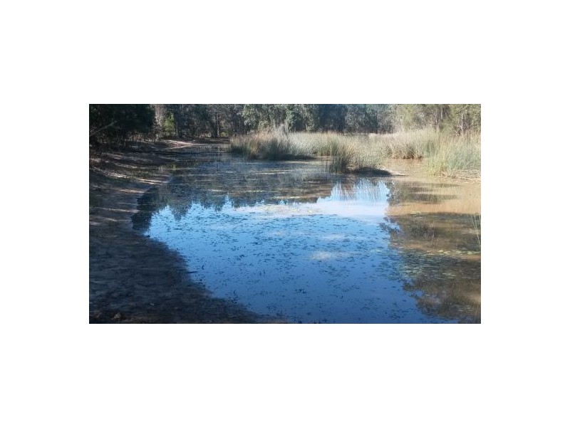 600 Clearfield Road, Rappville NSW 2469