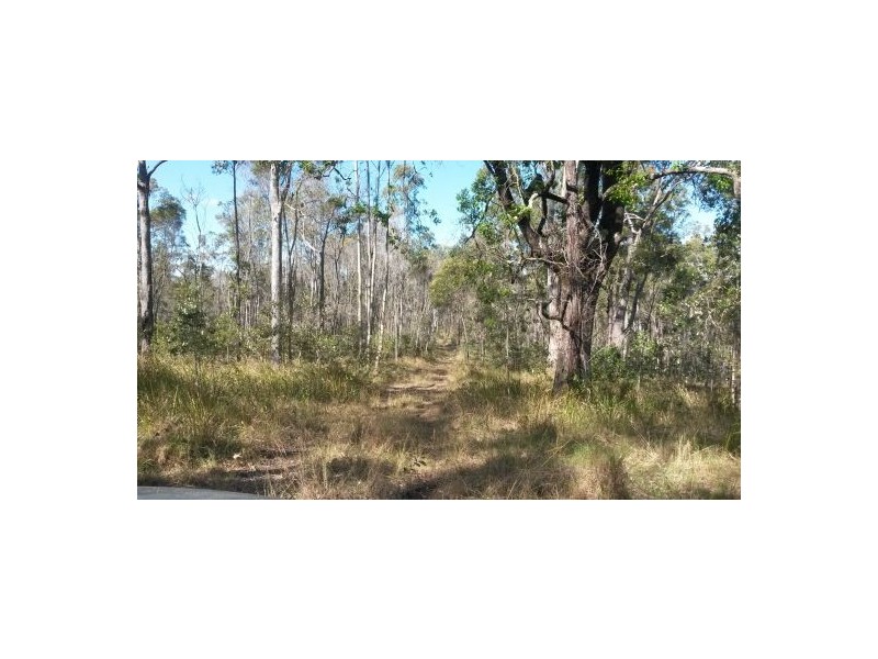 3145 Summerland Way,, Whiporie NSW 2469