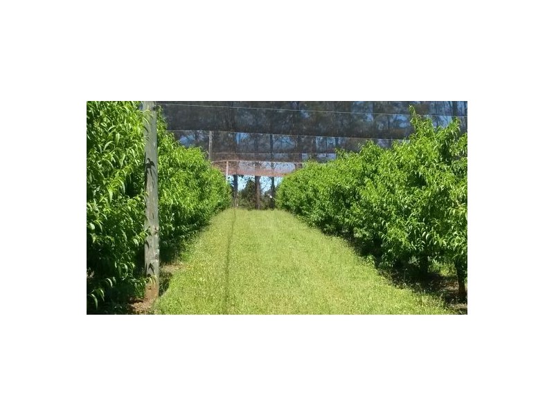 1190 Hogarth Range Road, Hogarth Range NSW 2469