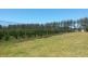 1190 Hogarth Range Road, Hogarth Range NSW 2469