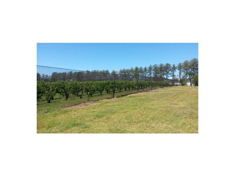 1190 Hogarth Range Road, Hogarth Range NSW 2469