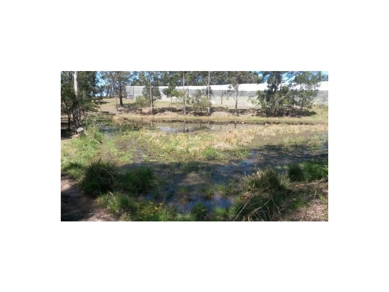 1190 Hogarth Range Road, Hogarth Range NSW 2469
