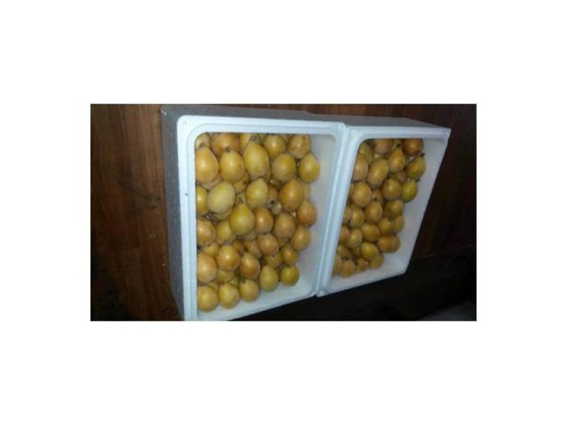 1190 Hogarth Range Road, Hogarth Range NSW 2469