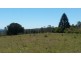 1190 Hogarth Range Road, Hogarth Range NSW 2469