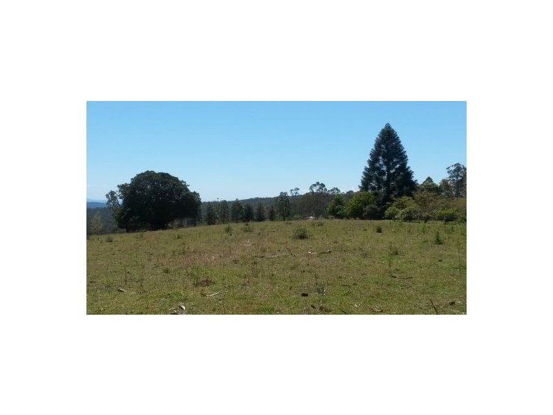 1190 Hogarth Range Road, Hogarth Range NSW 2469